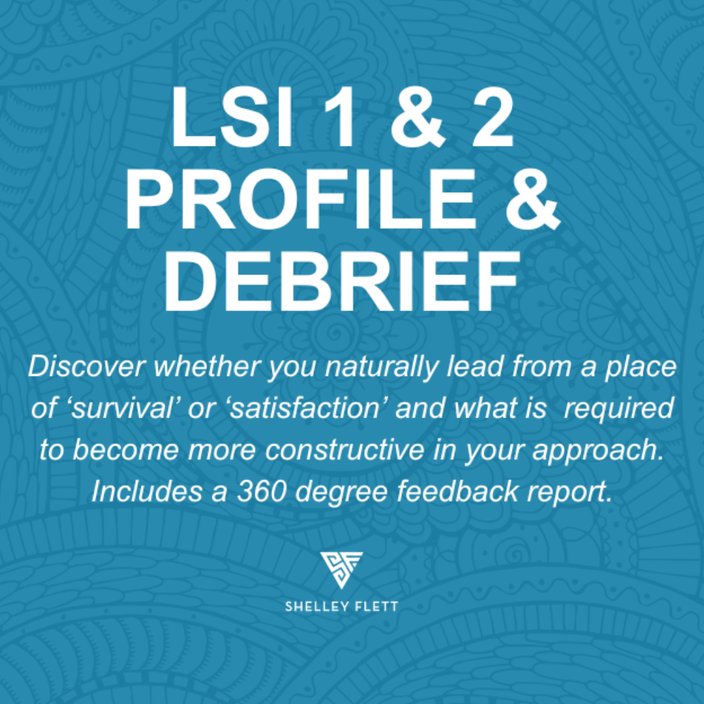 Life Styles Inventory (LSI) Profile &amp; Debrief